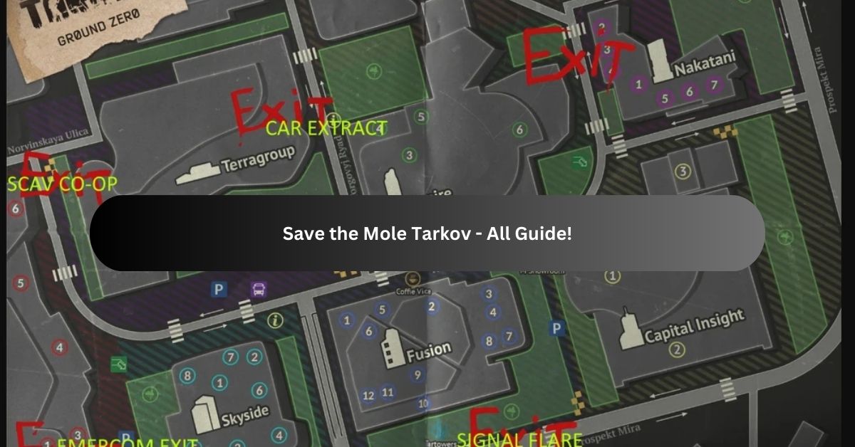 Save the Mole Tarkov - All Guide!